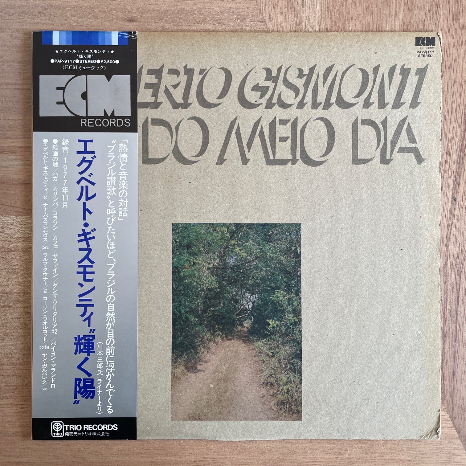 EGBERTO GISMONTI / SOL DO MEIO DIA | RECORDSHOP GG