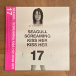 SEAGULL SCREAMING KISS HER KISS HER / 17 | RECORDSHOP GG