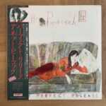 アネット・ピーコック CD2枚セット Annette Peacockのアルバム2枚｜hiroumi3
