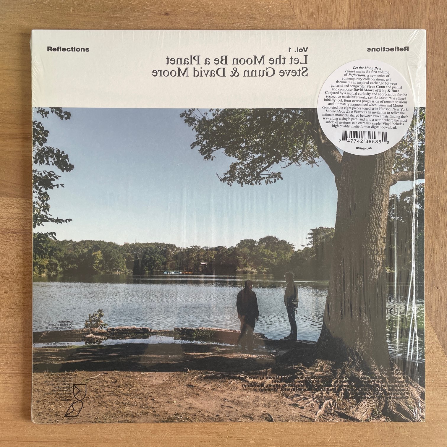 STEVE GUNN & DAVID MOORE / LET THE MOON BE A PLANET | RECORDSHOP GG