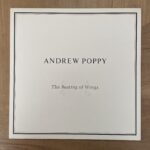 ANDREW POPPY / THE BEATING OF WINGS | RECORDSHOP GG